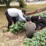 京都府乙訓郡向日市の放課後等デイサービスASTEP（アステップ）園芸活動