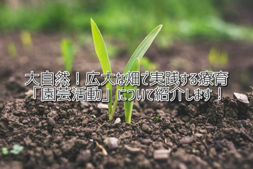 京都府乙訓郡向日市の放課後等デイサービスASTEP（アステップ）大自然！広大な畑で実践する療育「園芸活動」について紹介します！
