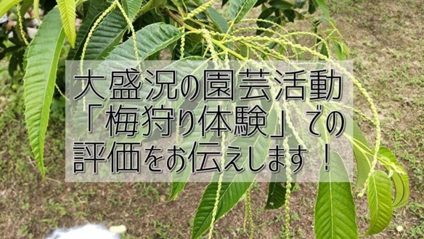 大盛況の園芸活動 「梅狩り体験」での 評価をお伝えします！