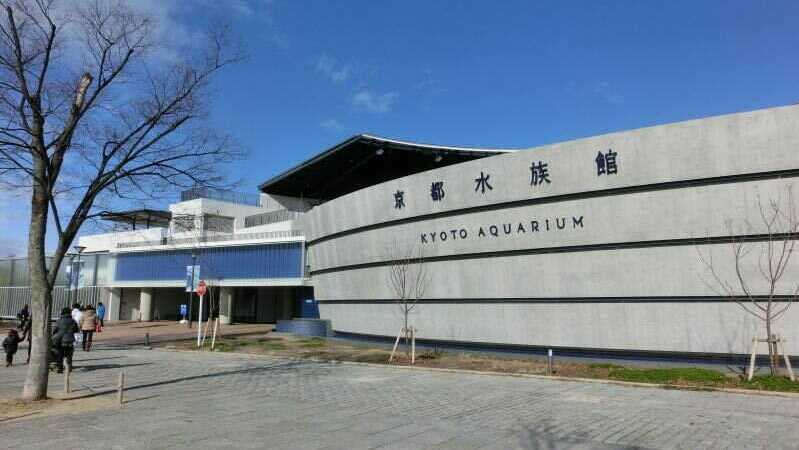社会見学（京都水族館）