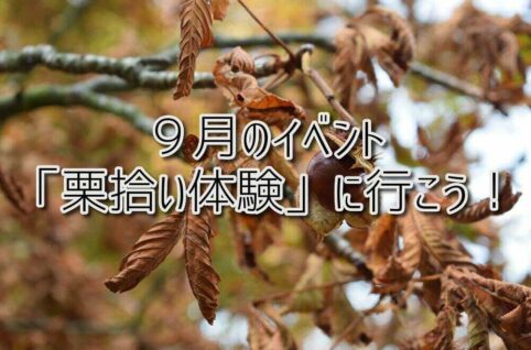 京都府乙訓郡向日市の放課後等デイサービスASTEP(アステップ)9月のイベント!「栗拾い体験」に行こう!