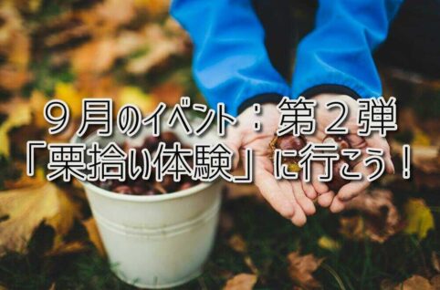 京都府乙訓郡向日市の放課後等デイサービスASTEP(アステップ)9月のイベント!「栗拾い体験」に行こう!