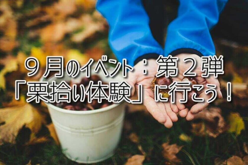 京都府乙訓郡向日市の放課後等デイサービスASTEP（アステップ）９月のイベント！「栗拾い体験」に行こう！