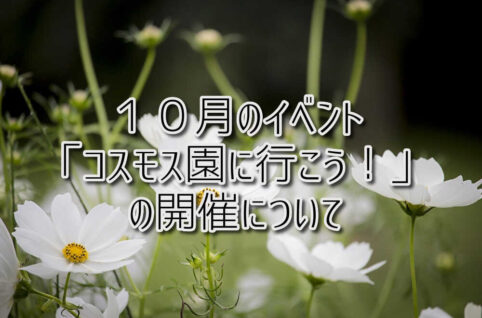 10月のイベント「コスモス園に行こう!」の開催について
