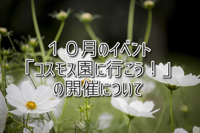 １０月のイベント「コスモス園に行こう！」の開催について