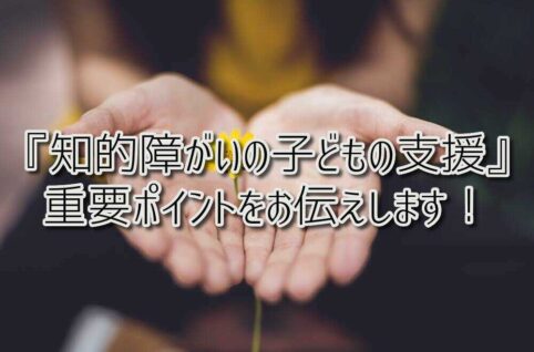 京都府乙訓郡向日市の放課後等デイサービスASTEP（アステップ）『知的障がいの子どもの支援』において重要なポイントをお伝えします！