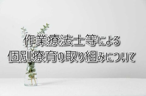 作業療法士等による個別療育の取り組みの概要について