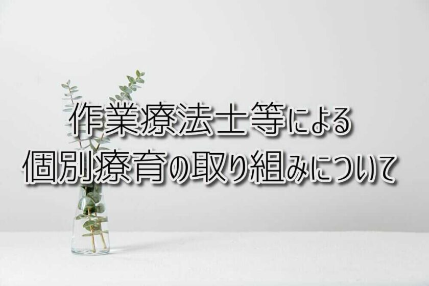 作業療法士等による個別療育の取り組みの概要について